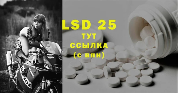гашик Богданович