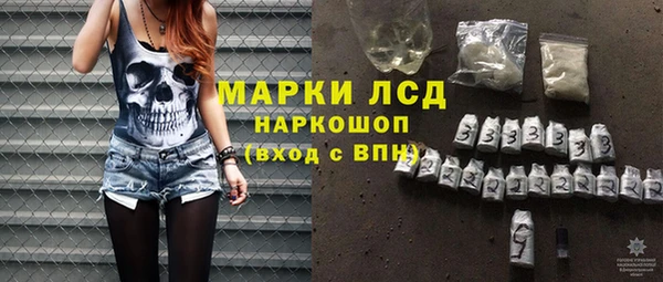гашик Богданович