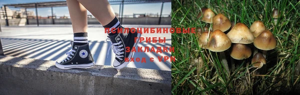 гашик Богданович