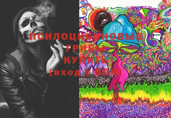 гашик Богданович